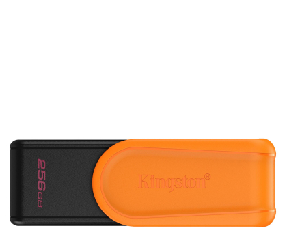 PenDrive KINGSTON  DTXS/256GB
